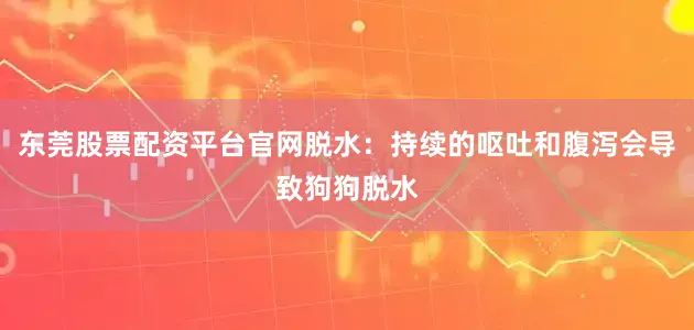东莞股票配资平台官网脱水：持续的呕吐和腹泻会导致狗狗脱水